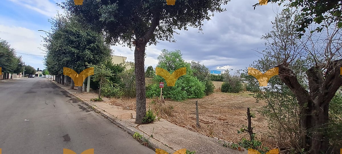 Terreno — Collepasso, via Avvocato Antonio Longo – suolo edificabile