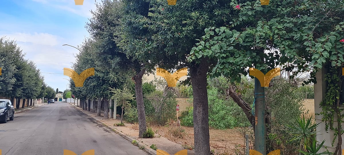 Terreno — Collepasso, via Avvocato Antonio Longo – suolo edificabile