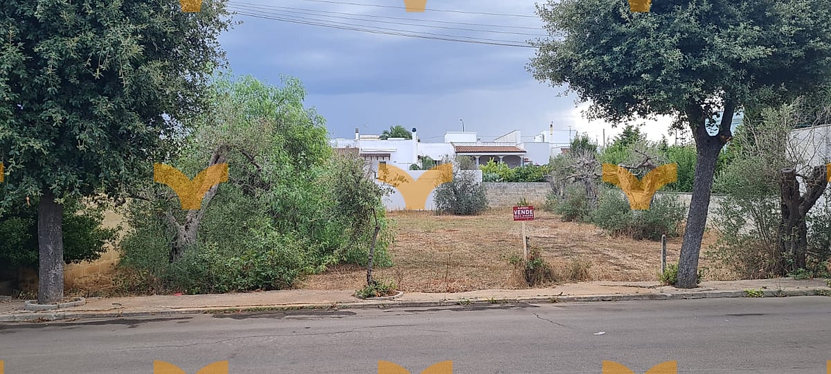 Terreno — Collepasso, via Avvocato Antonio Longo – suolo edificabile