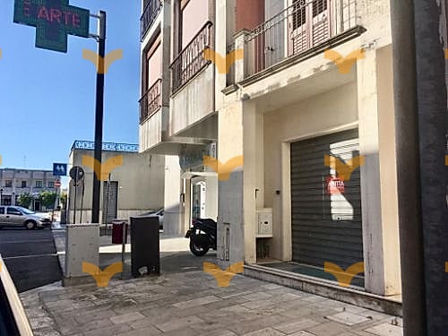 Facciata — Collepasso, via Baronessa Contarini, 7