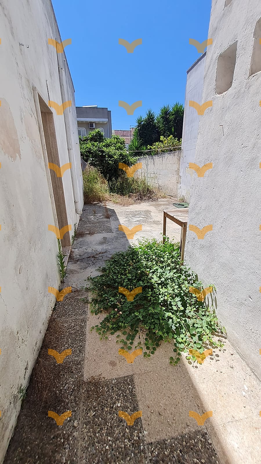 Cortile — Collepasso, via Crescenzio – abitazione indipendente