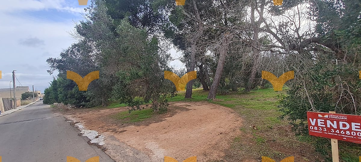 Terreno — Collepasso, via Omero – Terreno edificabile B1