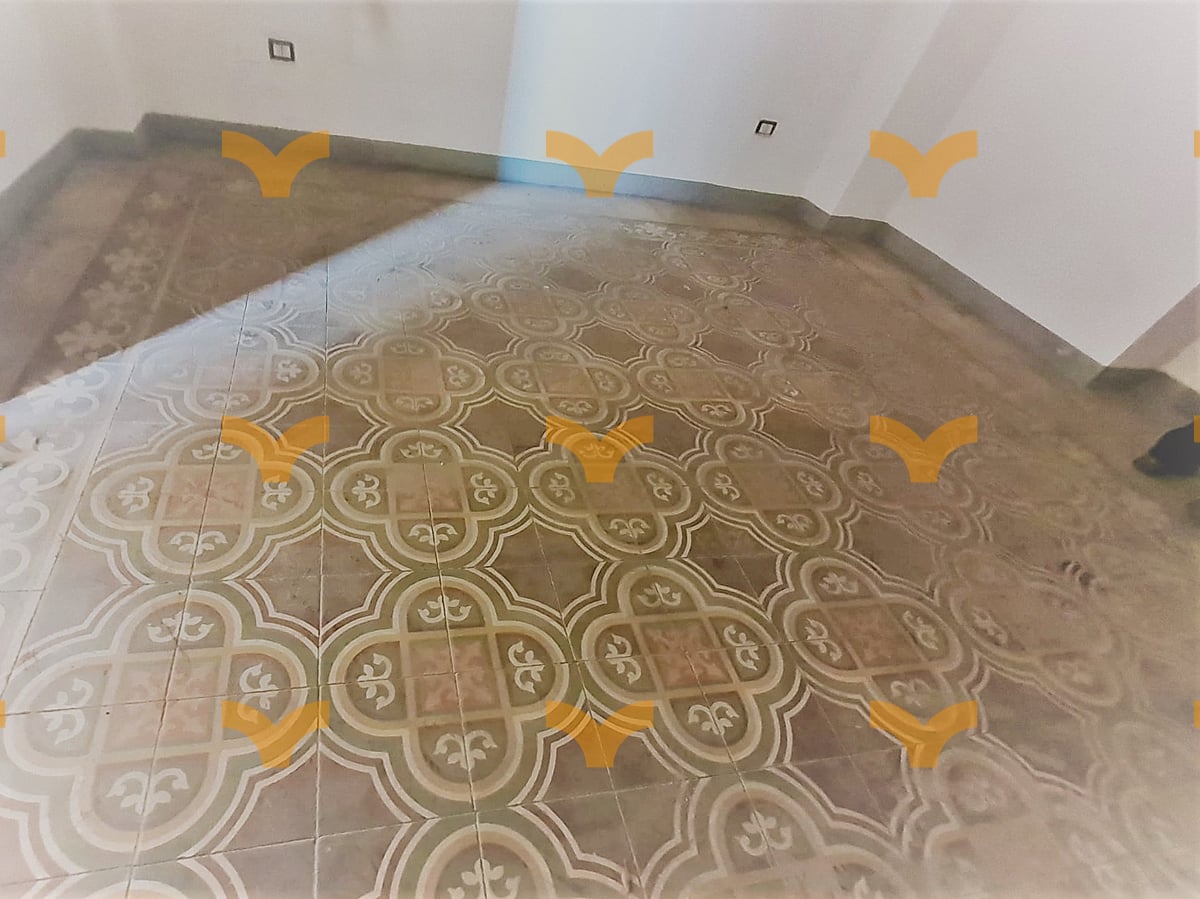 Interno — Collepasso, via Roma angolo con via R. Elena – villa antica con giardino