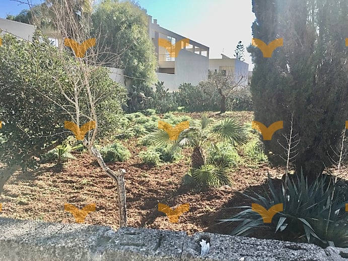 Terreno — Collepasso, Via Roma