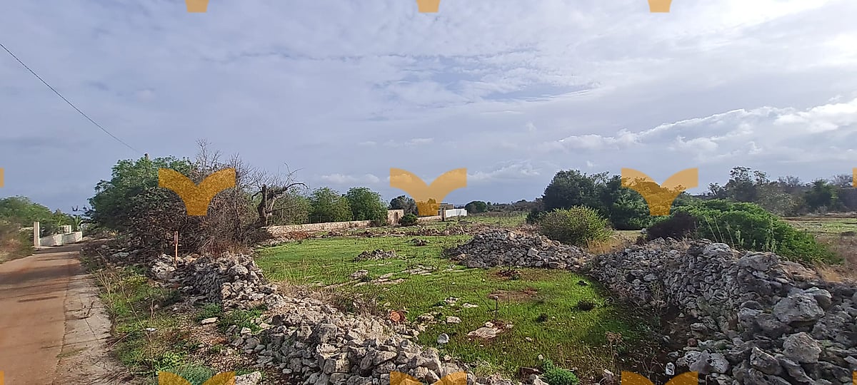 Terreno — Collepasso, via San Eleuterio – terreno agricolo