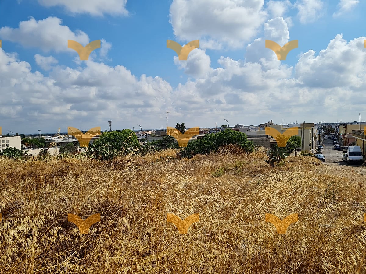 Terreno — Collepasso, prolungamento di via Puccini