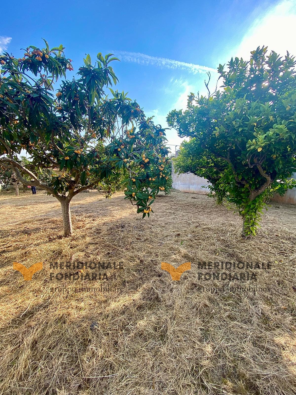 Terreno — Galugnano, Strada Provinciale 16 – terreno edificabile