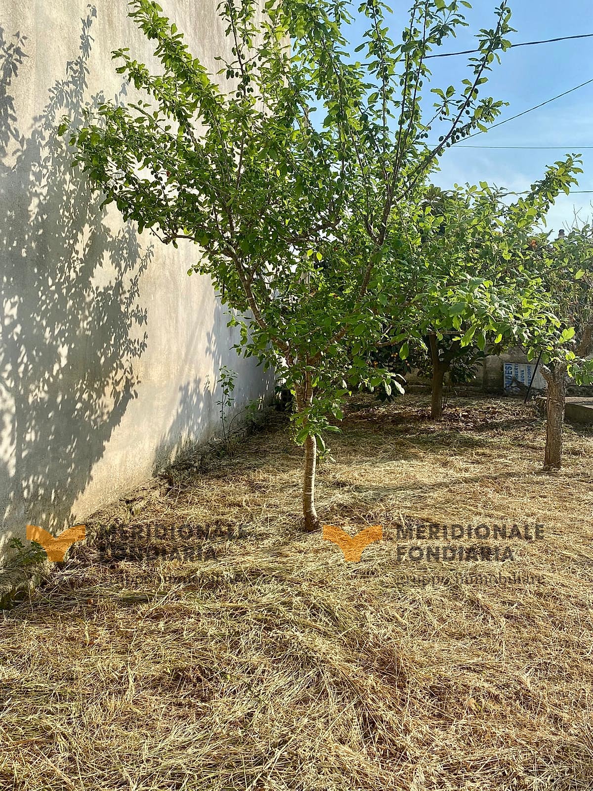 Terreno — Galugnano, Strada Provinciale 16 – terreno edificabile