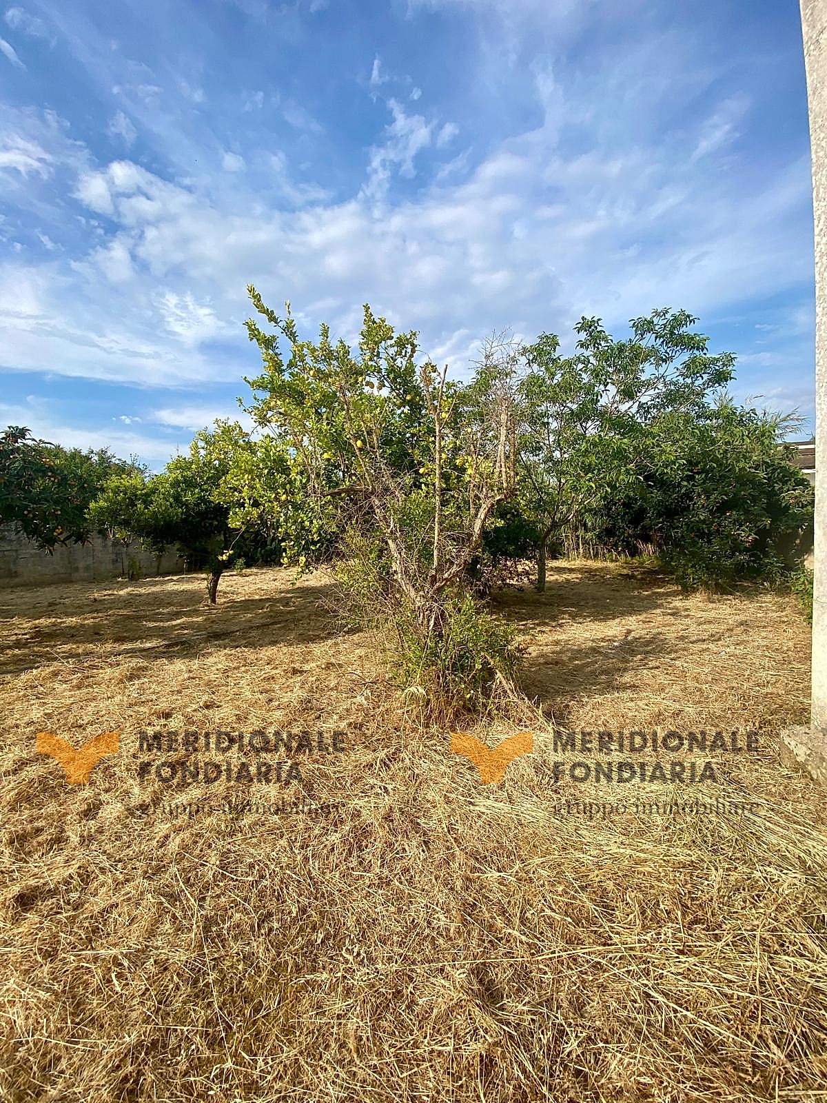 Terreno — Galugnano, Strada Provinciale 16 – terreno edificabile