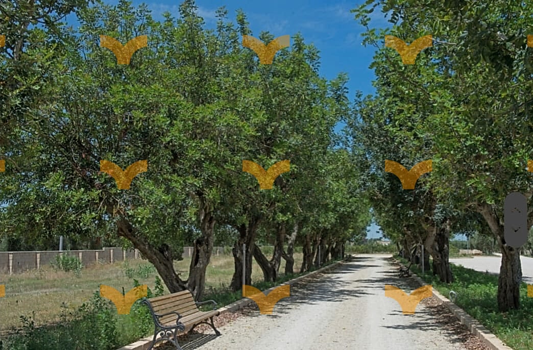 Terreno — Lecce, S.P. Lecce-Trepuzzi Struttura Agrituristica