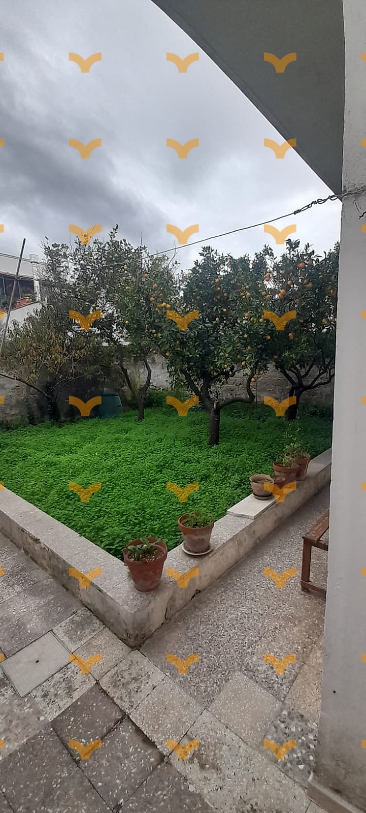 Giardino — Lecce, via Rudiae – Soluzione semi-indipendente di ampia metratura con giardino