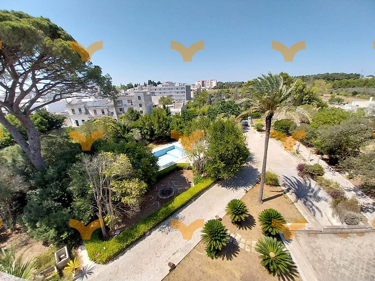 Giardino — Maglie, via Madonna di Leuca – magnifica villa dei primi del ‘900