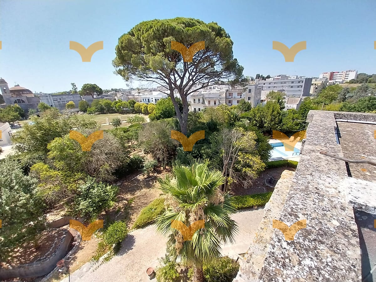 Giardino — Maglie, via Madonna di Leuca – magnifica villa dei primi del ‘900