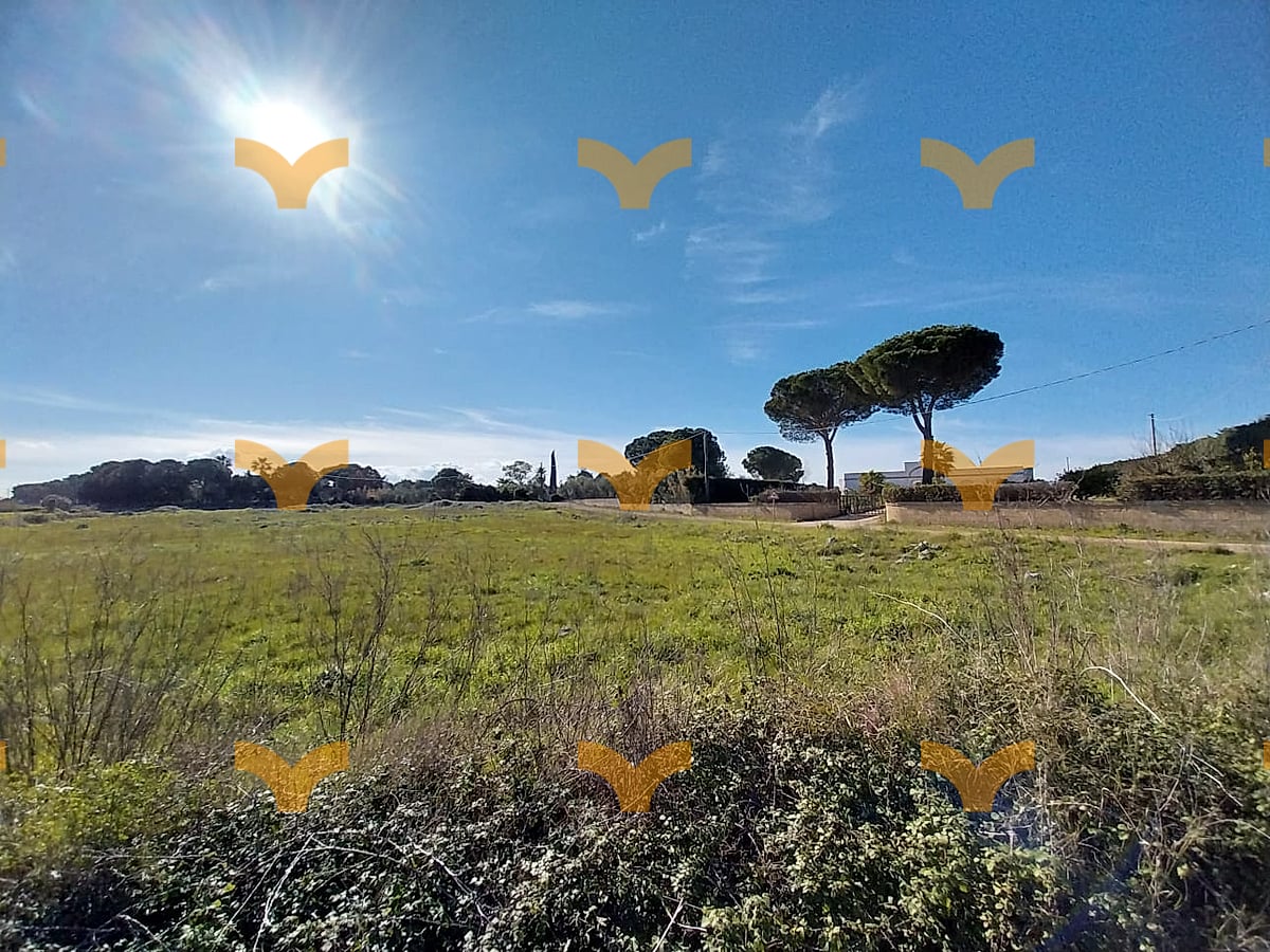 Muro Leccese, Contrada Crocefisso – Terreno agricolo in vendita