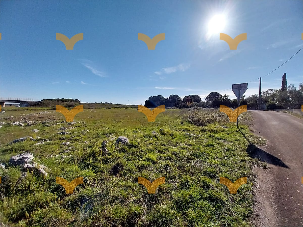Terreno — Muro Leccese, Contrada Crocefisso – Terreno agricolo in vendita