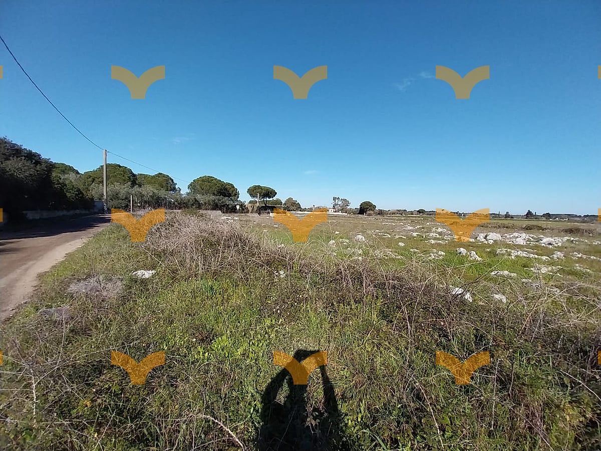 Terreno — Muro Leccese, Contrada Crocefisso – Terreno agricolo in vendita