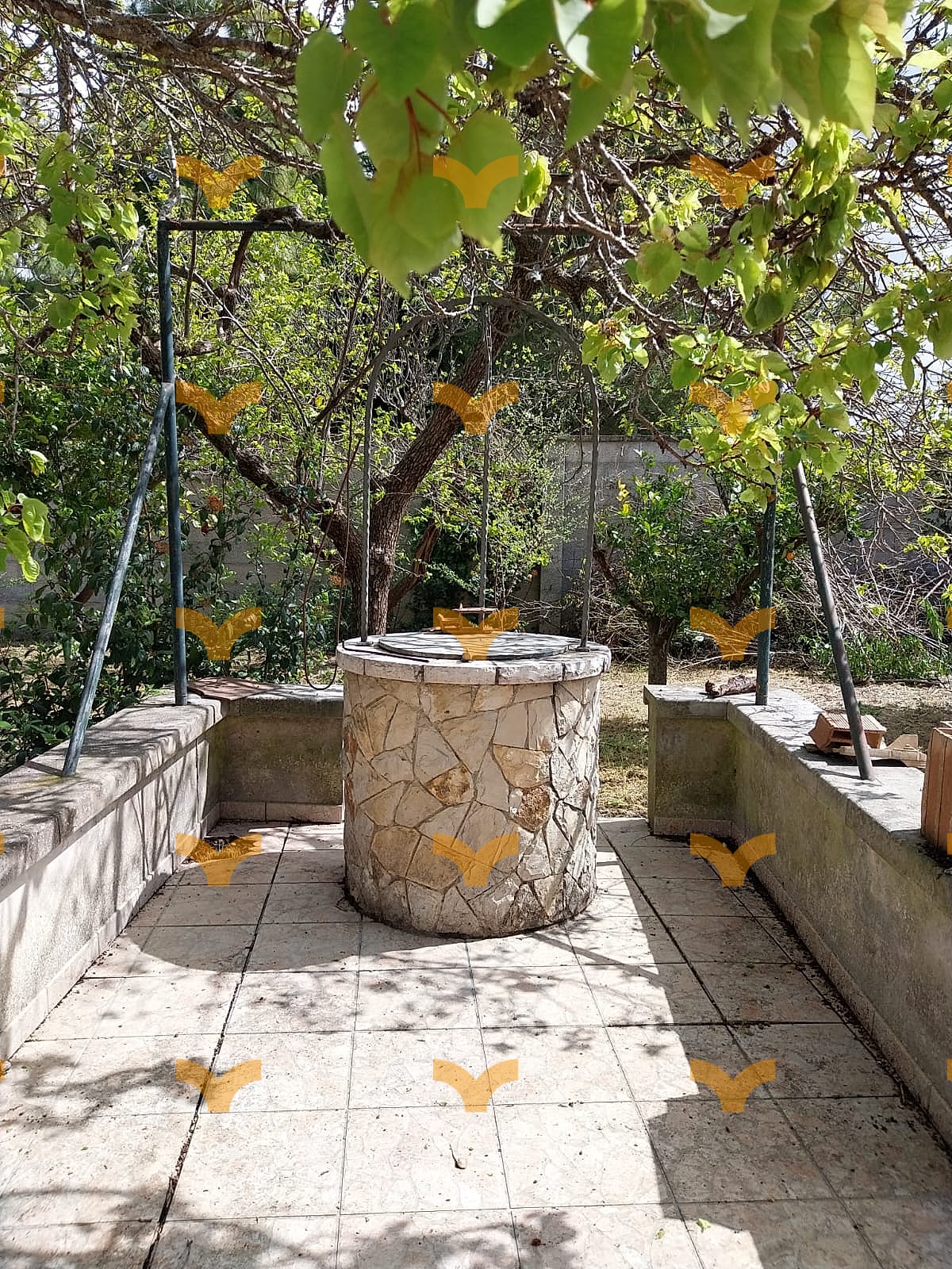 Giardino — Palmariggi, via Roma – villa con giardino