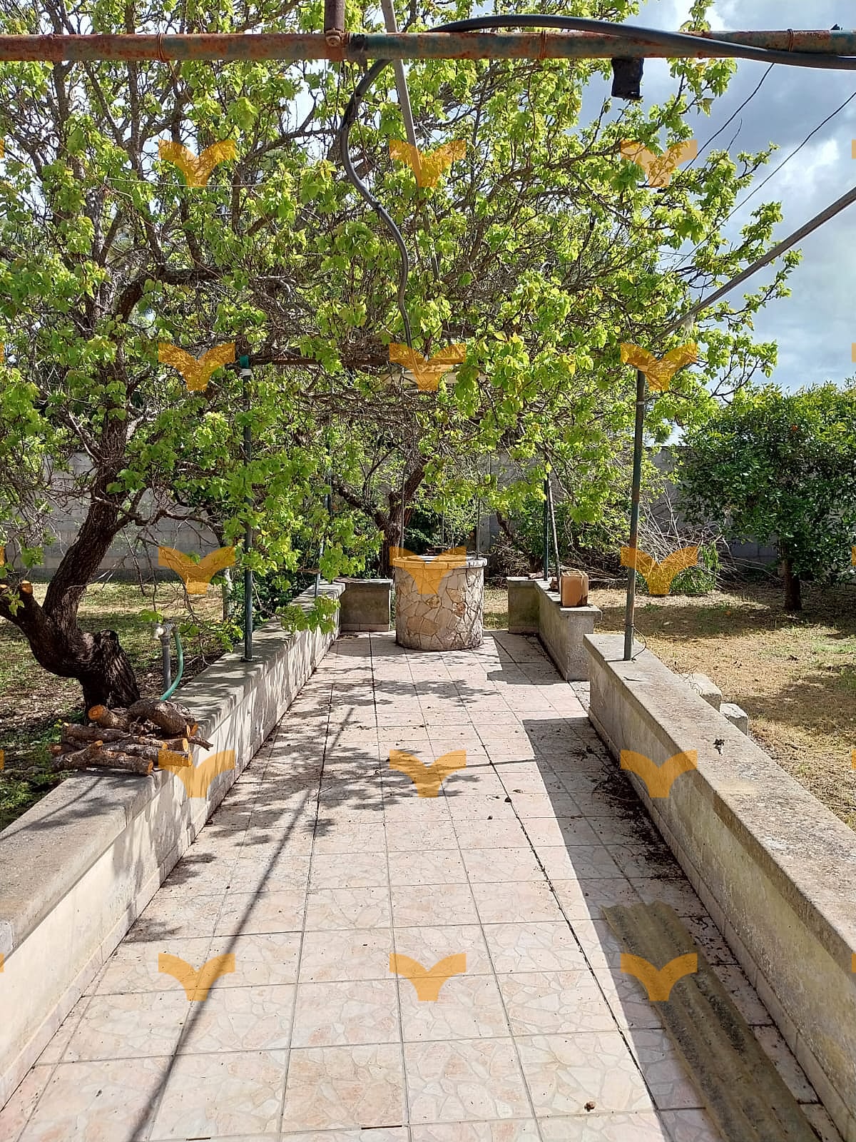 Giardino — Palmariggi, via Roma – villa con giardino