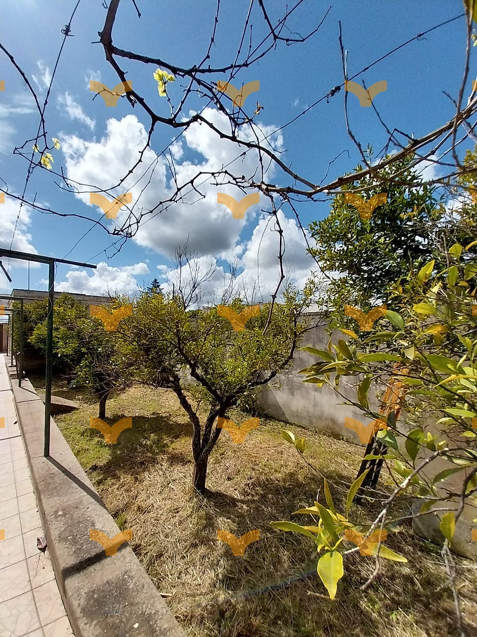 Giardino — Palmariggi, via Roma – villa con giardino