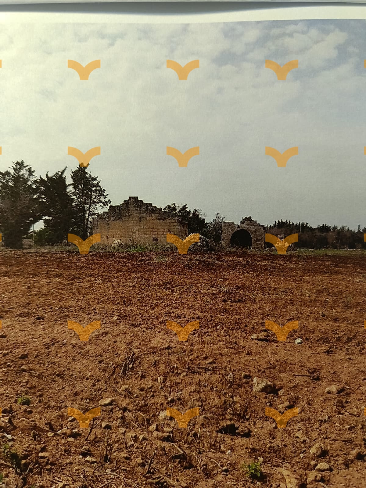 Terreno — Palmariggi – Villetta con uliveto e aia storica a pochi minuti da Otranto