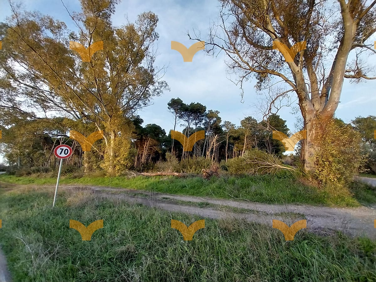 Terreno — Palmariggi – Villetta con uliveto e aia storica a pochi minuti da Otranto