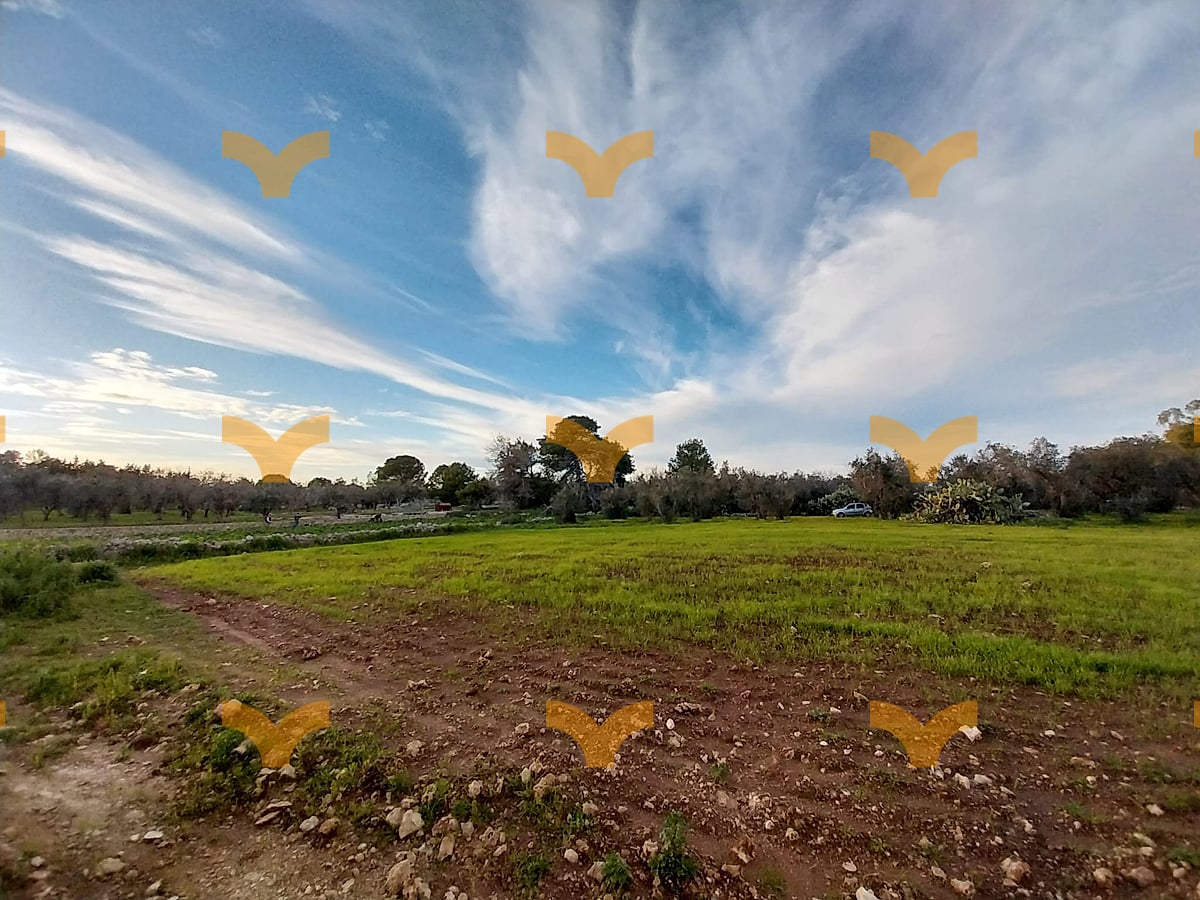 Terreno — Palmariggi – Villetta con uliveto e aia storica a pochi minuti da Otranto