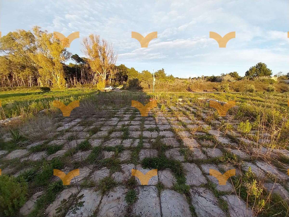 Terreno — Palmariggi – Villetta con uliveto e aia storica a pochi minuti da Otranto
