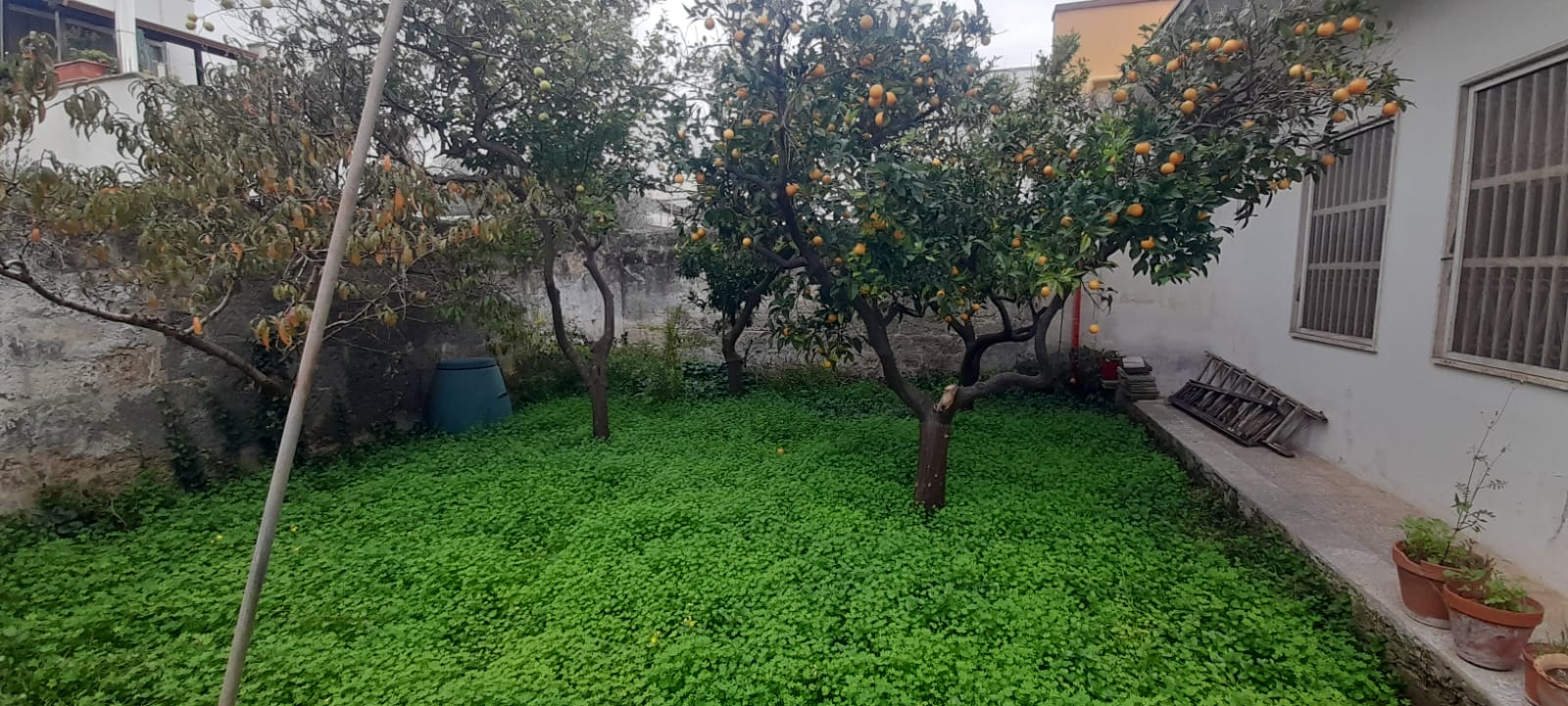 Lecce, via Rudiae – Soluzione semi-indipendente di ampia metratura con giardino