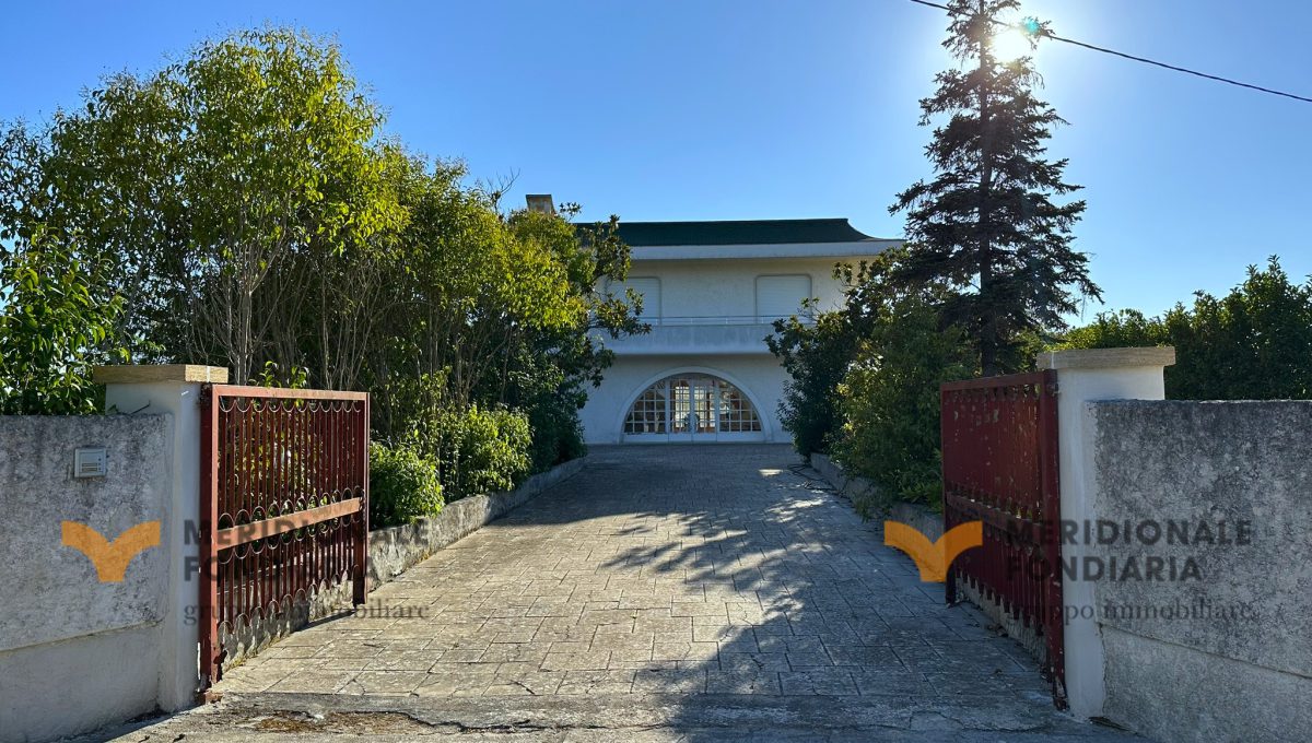 gallipoli1