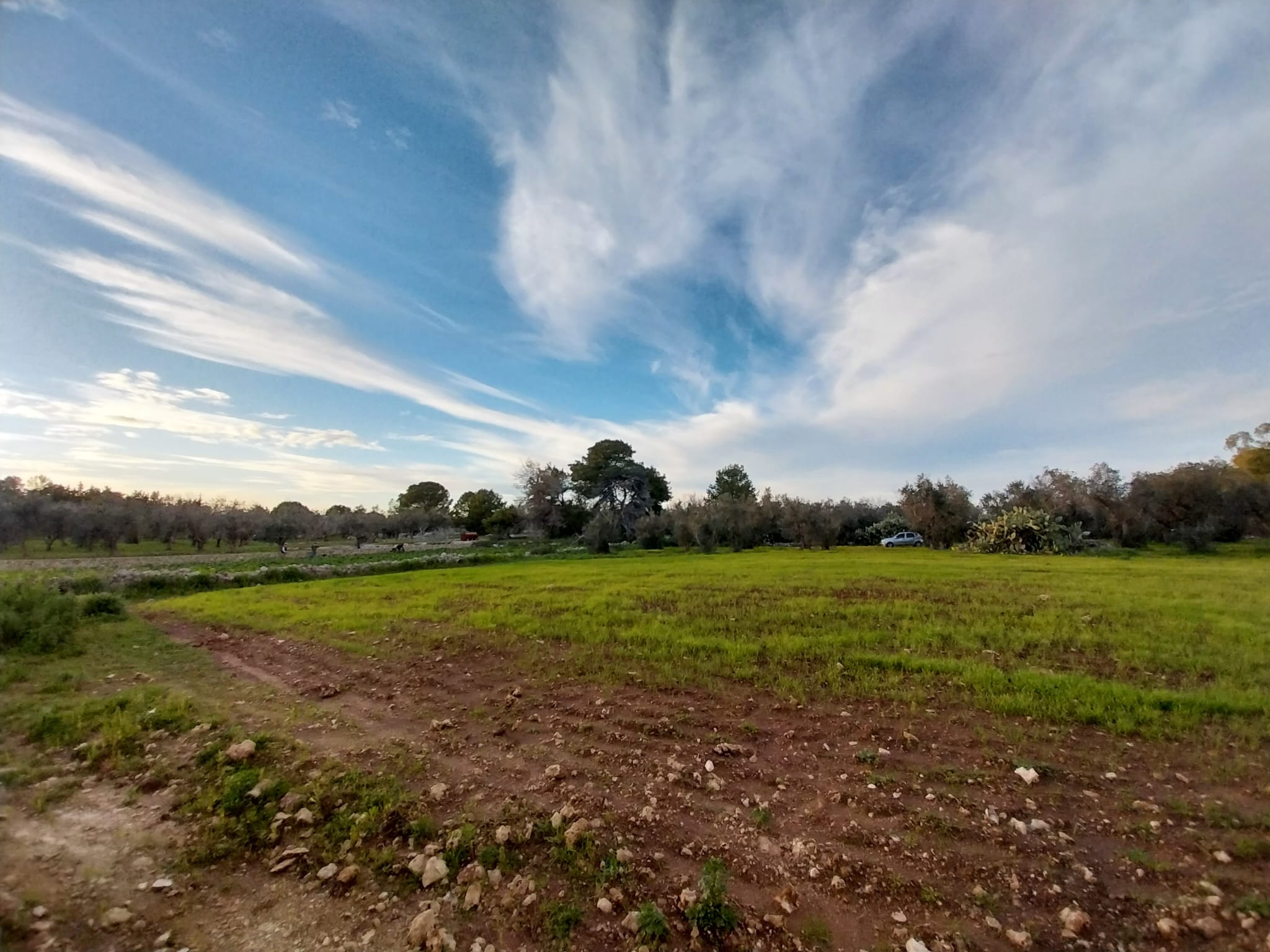 Palmariggi – Villetta con uliveto e aia storica a pochi minuti da Otranto