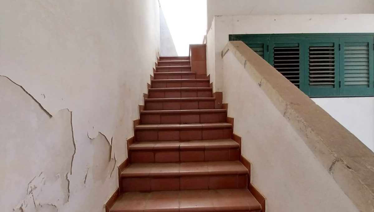 WhatsApp_Image_2026-03-25_at_11 (25)